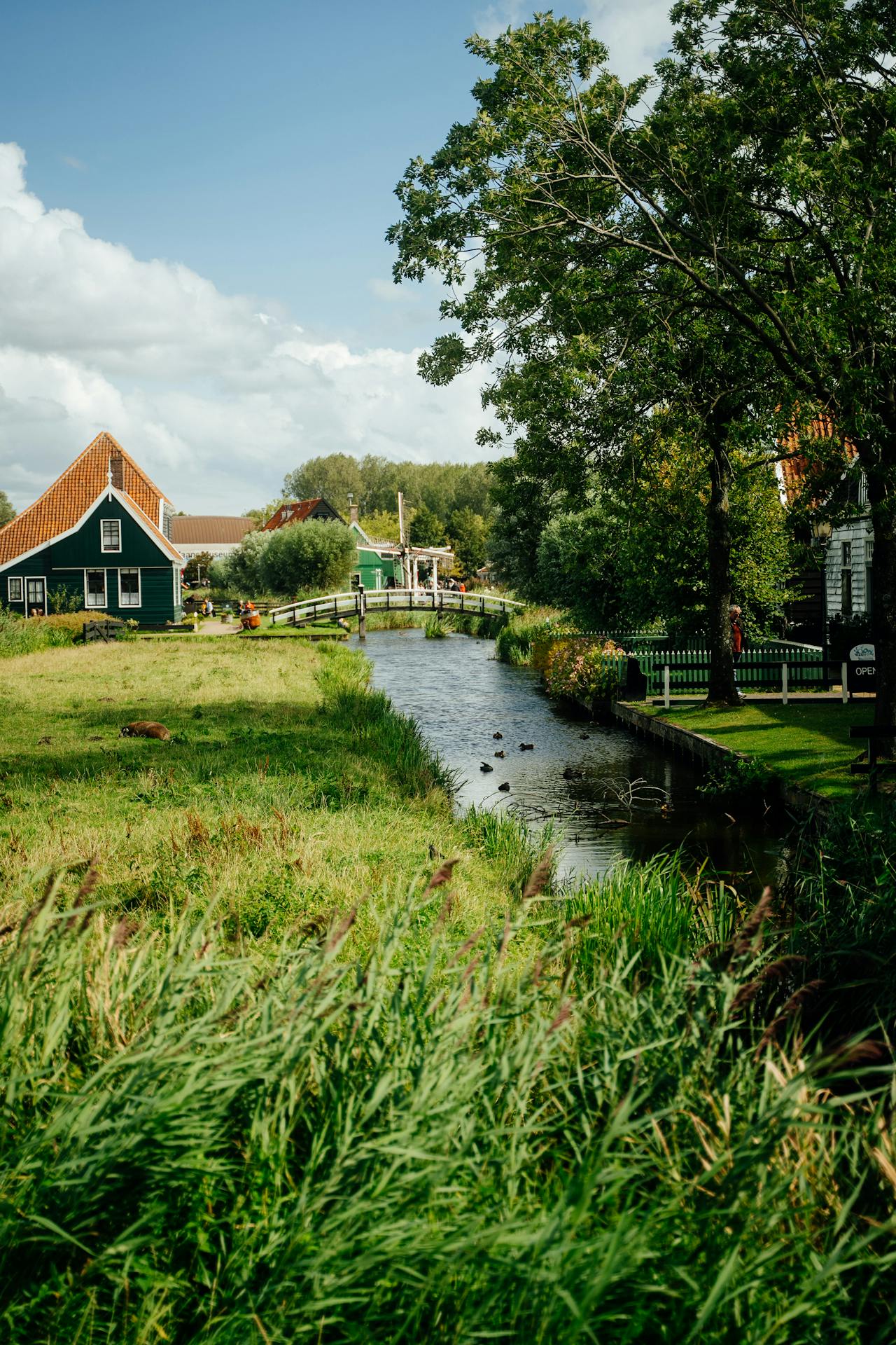 Cadeautjes voor de 21e verjaardag van zoon